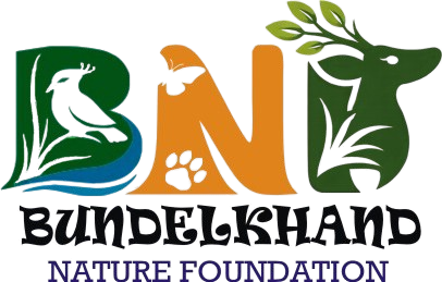 BNF logo
