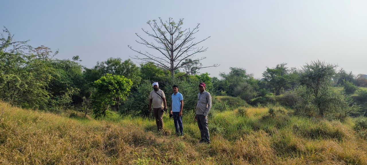BNF field team